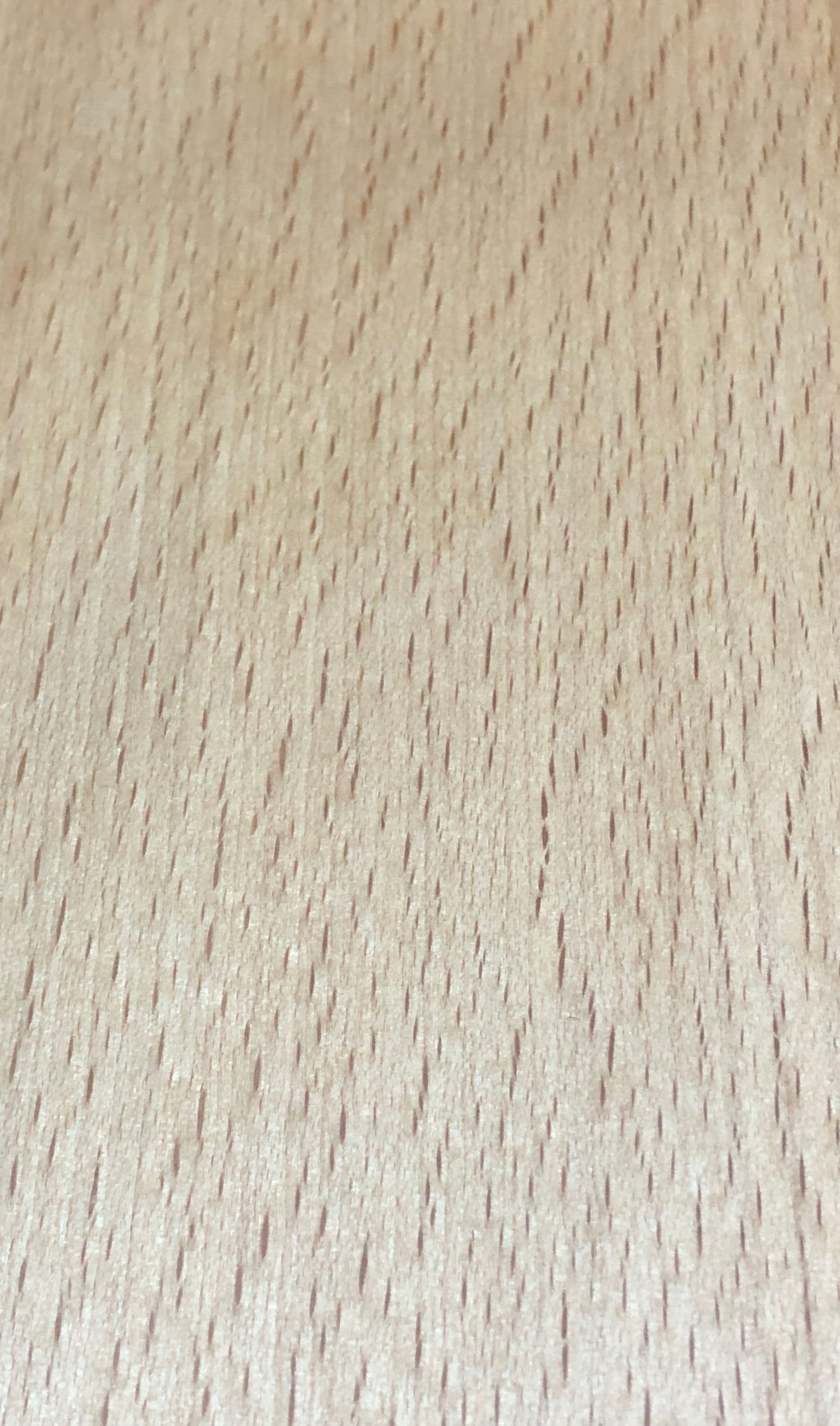 Hêtre
